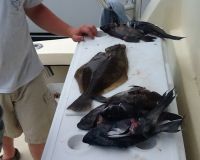 inshore 1 20200408