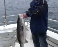 inshore 10 20200408