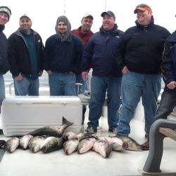 inshore 12 20200408