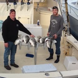 inshore 13 20200408