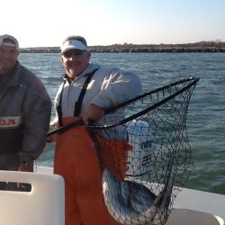 inshore 30 20200408